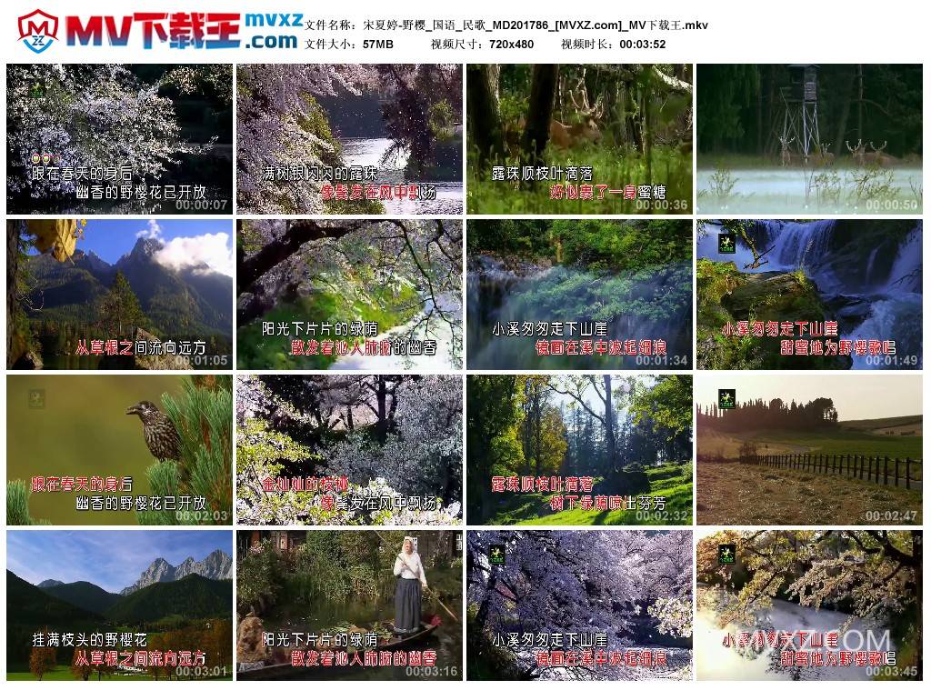 宋夏婷-野樱_国语_民歌_MD201786